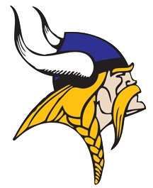 CMS VIKINGS 